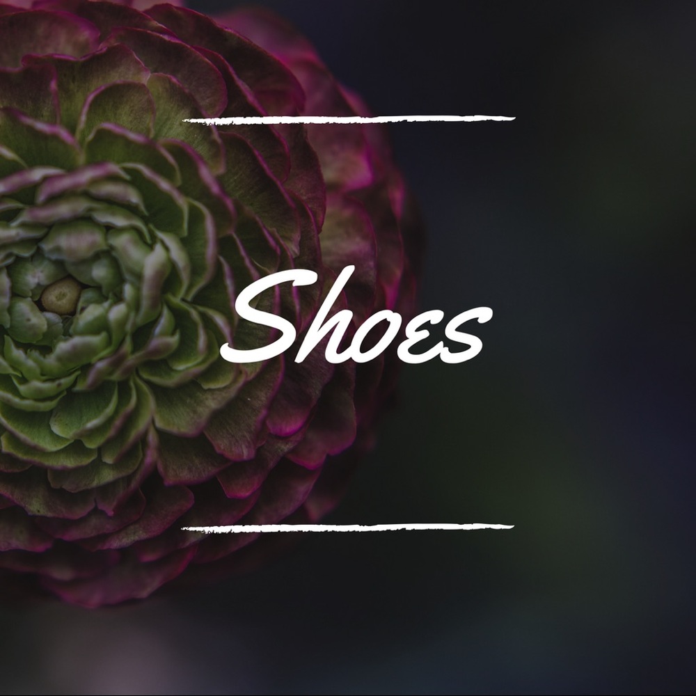 •Shoes Below•